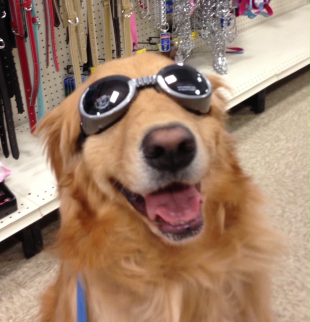 Chris Ritter – Teacher / Writer / Poet